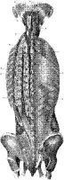 HPN127AJ.JPG