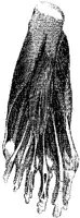 HPN127AG.JPG