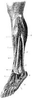 HPN127AB.JPG
