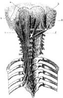 HPN127AA.JPG