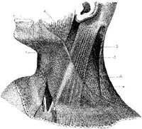 HPN126AO.JPG