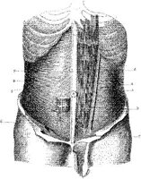 HPN126AN.JPG