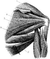 HPN126AL.JPG