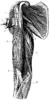 HPN126AK.JPG