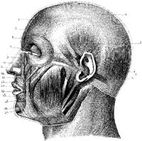 HPN126AI.JPG