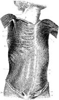 HPN126AH.JPG