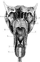 HPN126AG.JPG