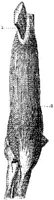 HPN126AE.JPG