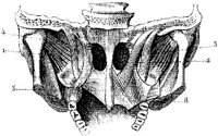 HPN126AB.JPG