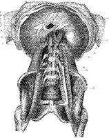 HPN126AA.JPG