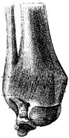HPN125AR.JPG