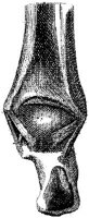 HPN125AQ.JPG