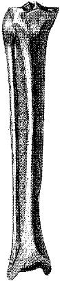 HPN125AJ.JPG