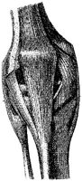 HPN125AG.JPG