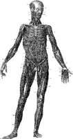 HPN124AS.JPG