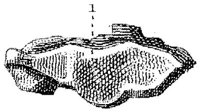 HPN124AR.JPG