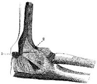 HPN124AO.JPG