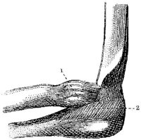 HPN124AN.JPG