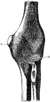HPN124AL.JPG