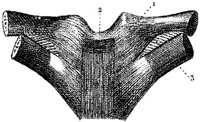 HPN124AH.JPG