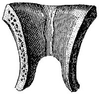 HPN124AG.JPG