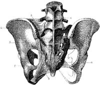 HPN124AE.JPG