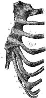HPN124AC.JPG