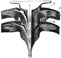 HPN124AB.JPG