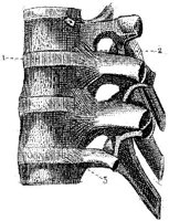 HPN124AA.JPG