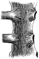 HPN123AO.JPG
