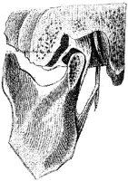 HPN123AN.JPG