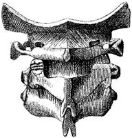 HPN123AL.JPG
