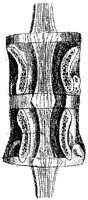 HPN123AC.JPG