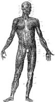 HPN123AA.JPG