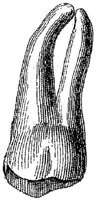 HPN122CS.JPG