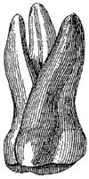 HPN122CR.JPG