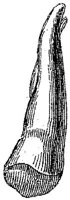 HPN122CP.JPG