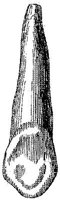 HPN122CO.JPG