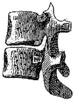 HPN122CL.JPG