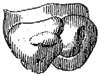 HPN122CK.JPG