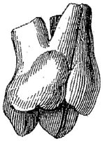 HPN122CJ.JPG