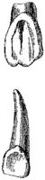 HPN122CF.JPG