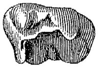 HPN122CD.JPG