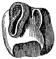 HPN122CB.JPG
