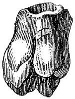 HPN122CA.JPG