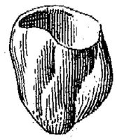 HPN122BX.JPG