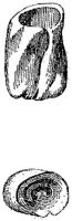 HPN122BV.JPG