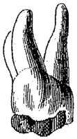 HPN122BT.JPG