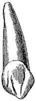 HPN122BS.JPG