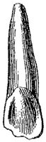 HPN122BR.JPG